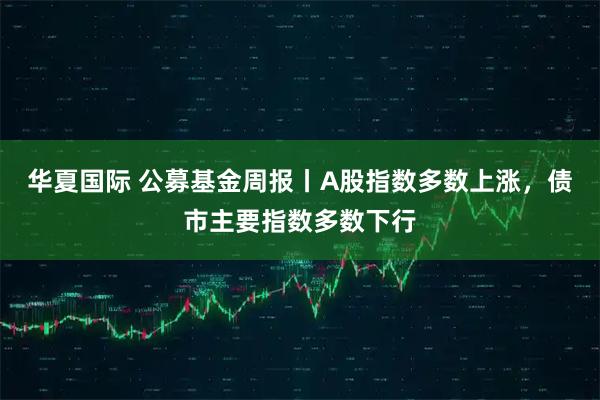 华夏国际 公募基金周报丨A股指数多数上涨，债市主要指数多数下行