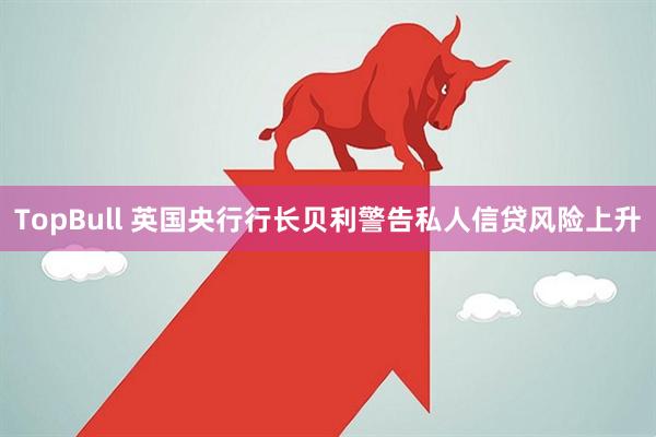 TopBull 英国央行行长贝利警告私人信贷风险上升
