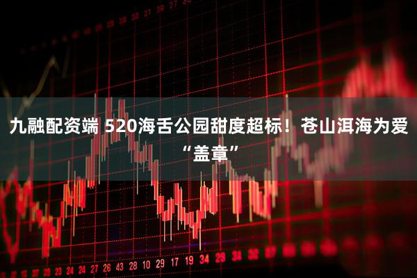 九融配资端 520海舌公园甜度超标！苍山洱海为爱“盖章”