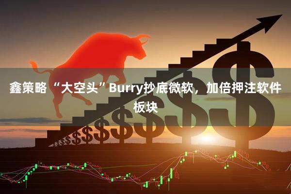 鑫策略 “大空头”Burry抄底微软，加倍押注软件板块