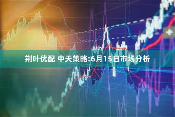 荆叶优配 中天策略:6月15日市场分析